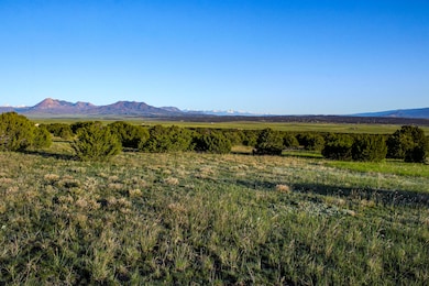La Veta Pines - Ostrow Lot (2 of 21)