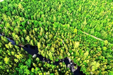 DJI_0333