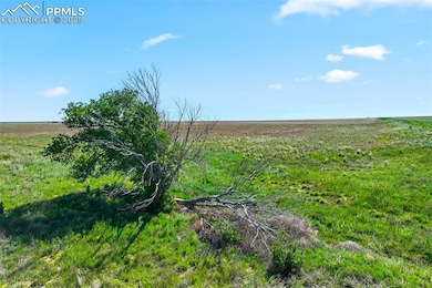 View of local wilderness with rural landscape