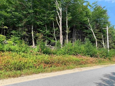 0 N Groton Rd unit 91 4877598, Hebron, NH 03241 - photo 2