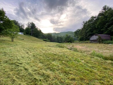 Lower Field