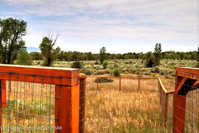 Dog Run