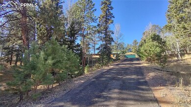 97 Shadow Lake Dr, Divide, CO 80814 - photo 5