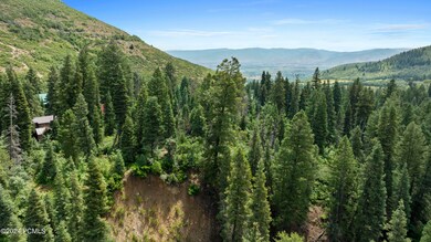 1722067332450_1722022531589dji0869