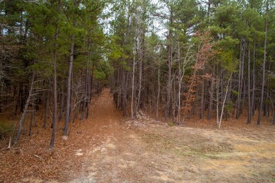 0 Silk Hope Gum Springs Rd unit 2433612, Pittsboro, NC 27312 - photo 5