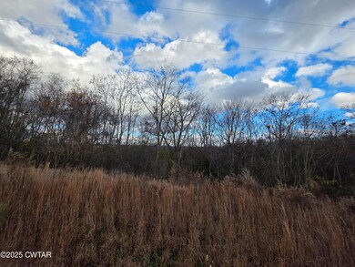 0 B J Woodson Ln unit 2505592, Clifton, TN 38425 - photo 5