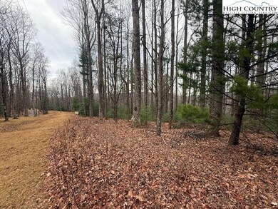 TBD Jobs Rd, Laurel Springs, NC 28644 - photo 7