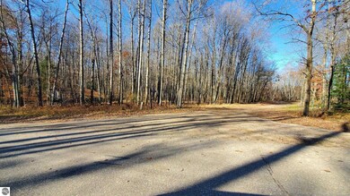 8122 Highland Trail unit 240, Canadian Lakes, MI 49346 - photo 6