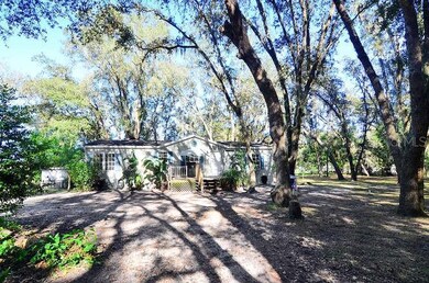 35235 Chancey Rd, Zephyrhills, FL 33541 - photo 2