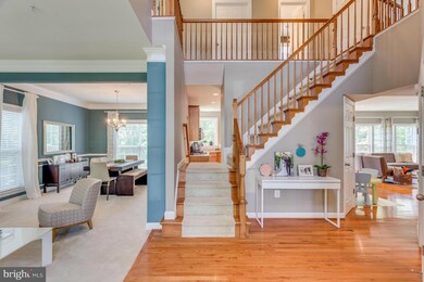 16481 Plumage Eagle St, Woodbridge, VA 22191 - photo 2