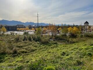 000 Anchorage, Anchorage, AK 99503 - photo 5