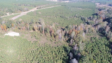 Henry Co Rd 46, Shorterville, AL 36373 - photo 7