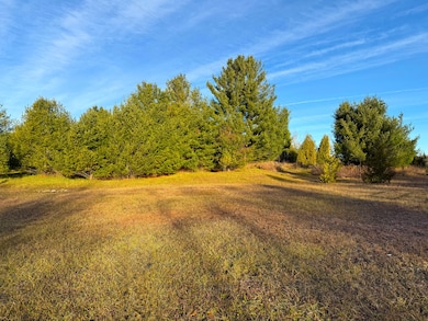 0 Brevort Lake Rd unit 25-1160, Moran, MI 49760 - photo 4