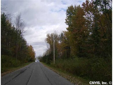 View. Miner Road to Oneida Lake.
