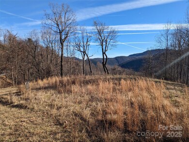 117 Ironwood Ln unit C-20, Black Mountain, NC 28711 - photo 4