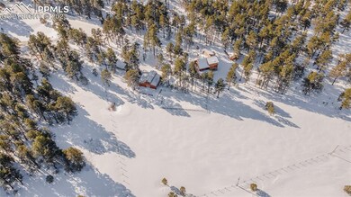 Gorgeous acreage with a mixture of pines and pastu