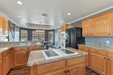 284 Edward Farris Rd, Weatherford, TX 76085 - photo 4