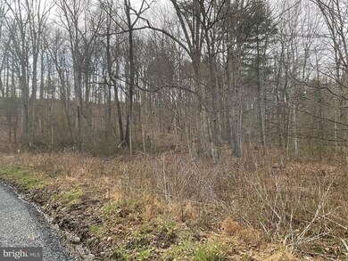 0 Millertown Rd unit VASH2002882, Edinburg, VA 22824 - photo 6