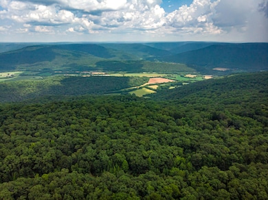 00 Jackson Point Rd, Sewanee, TN 37380 - photo 2
