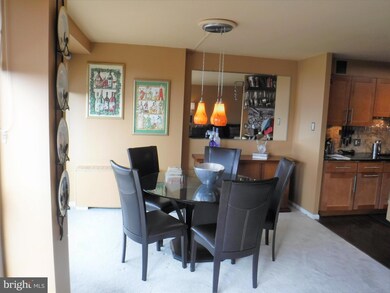 Green Hill Condominiums unit WB913, Wynnewood, PA 19096 - photo 6