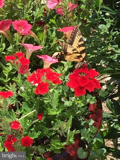 8391 Sweet Cherry Ln, Laurel, MD 20723 - photo 3