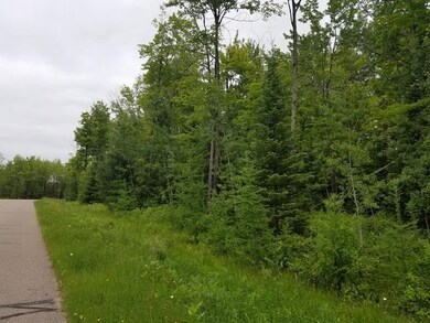 Lot 1 Sanctuary Rd, Tomahawk, WI 54487 - photo 3