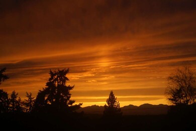 7042 82nd Ave SE, Mercer Island, WA 98040 - photo 3