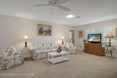 6217 Ocean Pines Ln, Spring Hill, FL 34606 - photo 7