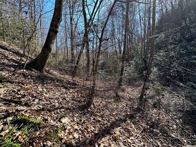 LT 7 Valley View Heights Ln, Andrews, NC 28901 - photo 7