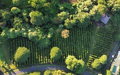 77-6301 Kaumalumalu Dr, Holualoa, HI 96725 - photo 3