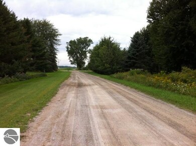 N/A Noggle Rd, Omer, MI 48749 - photo 3
