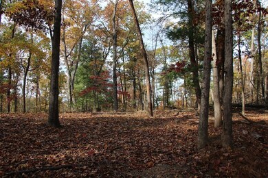 0 Easter Ridge Ln unit LotWP007A 23743104, Gainesboro, VA 22603 - photo 6