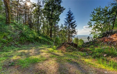 50 Reese Hill Rd, Sumas, WA 98295 - photo 6