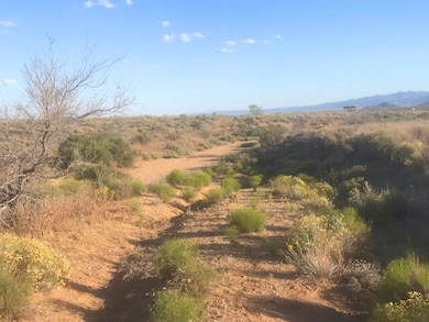 Na, Dolan Springs, AZ 86441 - photo 7