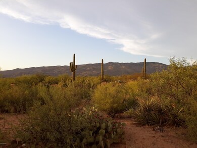 Rincon Mountain View