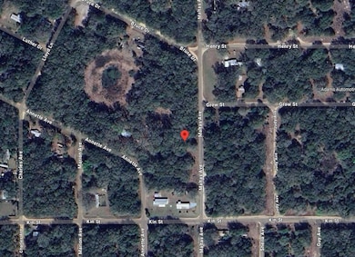 0 Maltas Ave unit 25650358, Interlachen, FL 32148 - photo 5