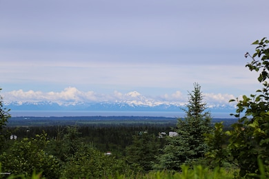 32800 Coyote Run Rd, Nikolaevsk, AK 99556 - photo 5