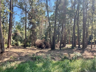 15912 Chaumont Ave, Central, LA 70739 - photo 3