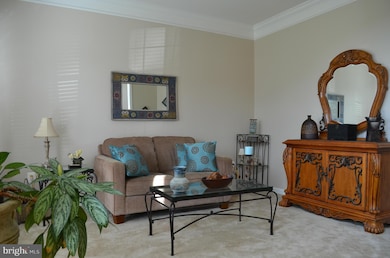 832 Autumn Ridge Rd, Culpeper, VA 22701 - photo 6