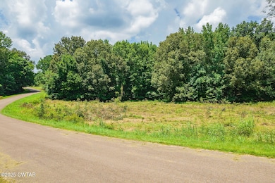 0 Hwy 22 unit 2503448, Dresden, TN 38225 - photo 4