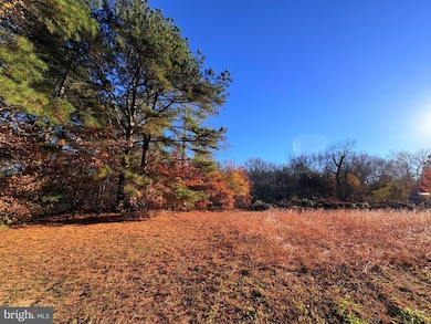 8385 Hurleys Neck Rd, Mardela Springs, MD 21837 - photo 5