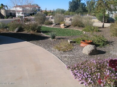 Front Yard
