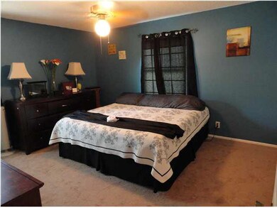 Large master bedroom with double closets