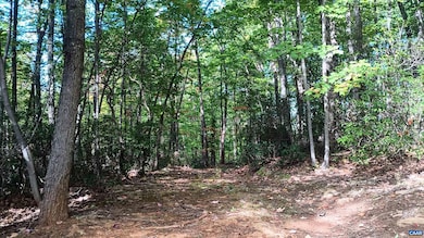 0 Oakcrest Ln unit 3, Rockfish, VA 22958 - photo 4