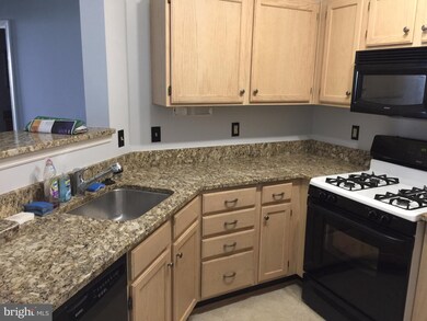 14322 Climbing Rose Way unit 206, Centreville, VA 20121 - photo 3