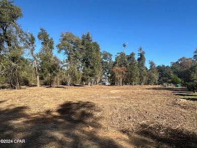 2836 Appalachee Trail, Marianna, FL 32446 - photo 2