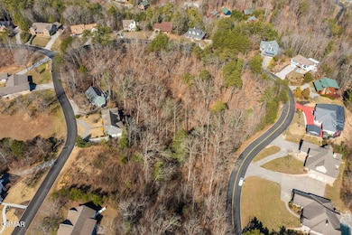 Lot 40 Kings Hills Blvd, Pigeon Forge, TN 37863 - photo 4