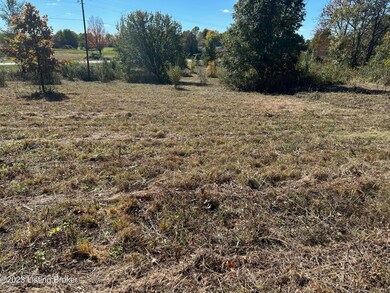 0 E Hwy 44 unit 1648345, Mount Washington, KY 40047 - photo 2