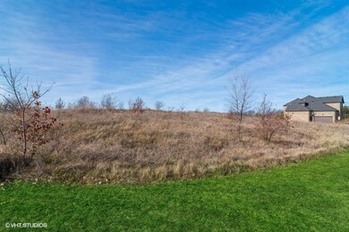 4799 Waa Kee Sha Dr, Oswego, IL 60543 - photo 4