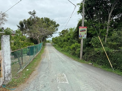 00637 Road Pr #368 Bo MacHuchal Sabana Grande, Sabana Grande, PR 00637 - photo 3